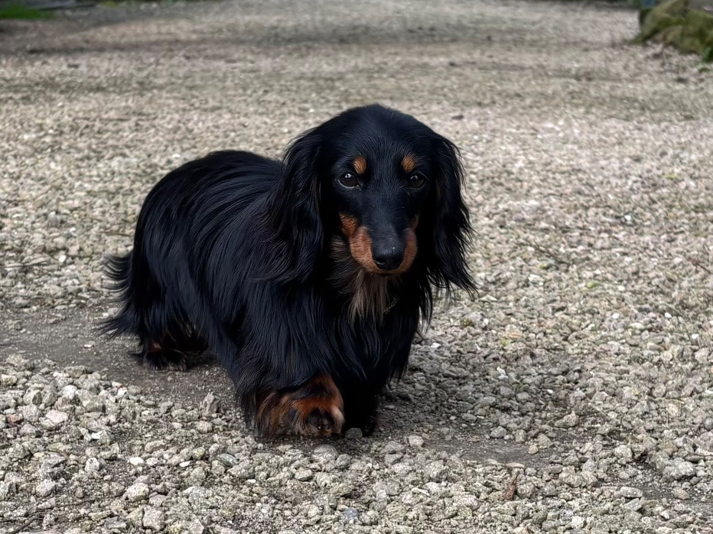 AGATHE Du grand baronnet